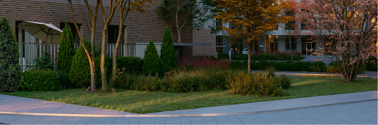 Park paths against the background of trees